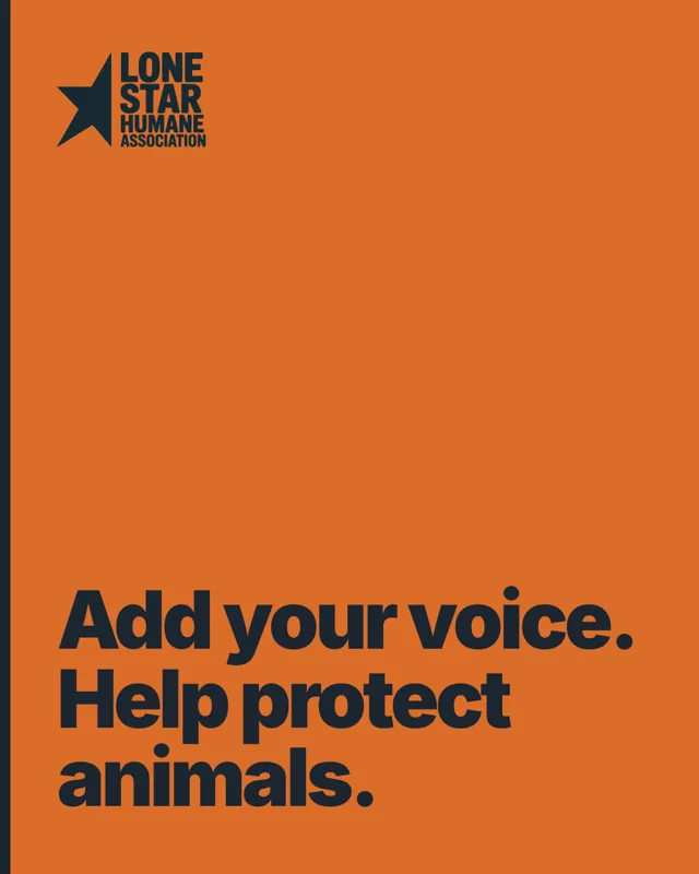 Add your voice