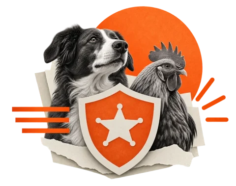 Animal Protection