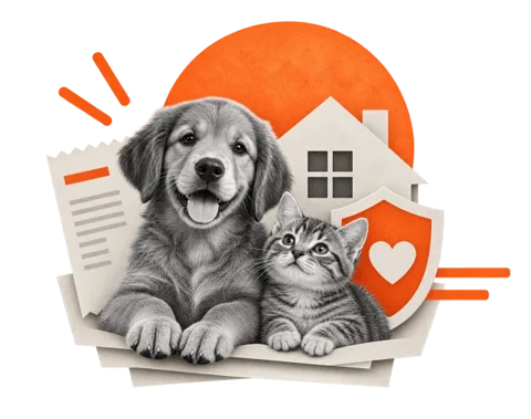Pet Security