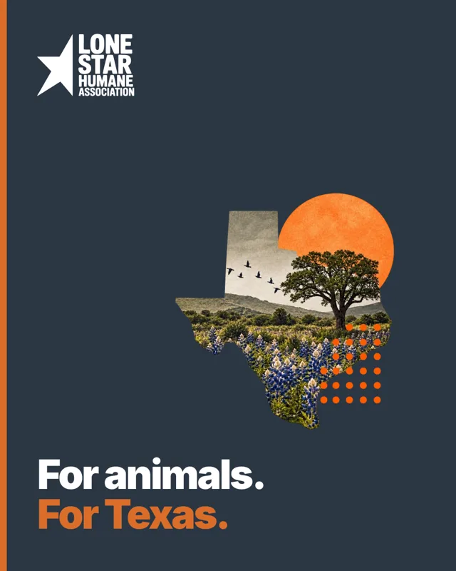 For animals. For Texas.