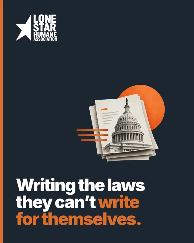 Writing the laws